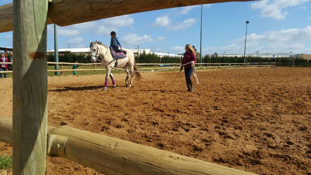 islantilla hípica equitación caballos