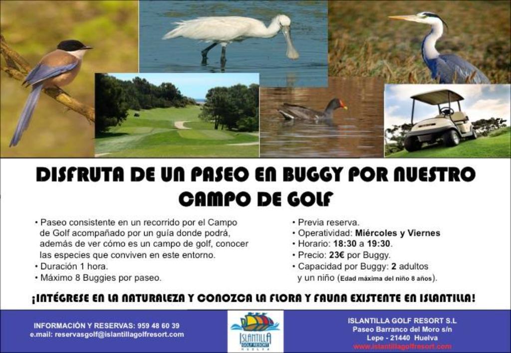 Islantilla Golf Buggy