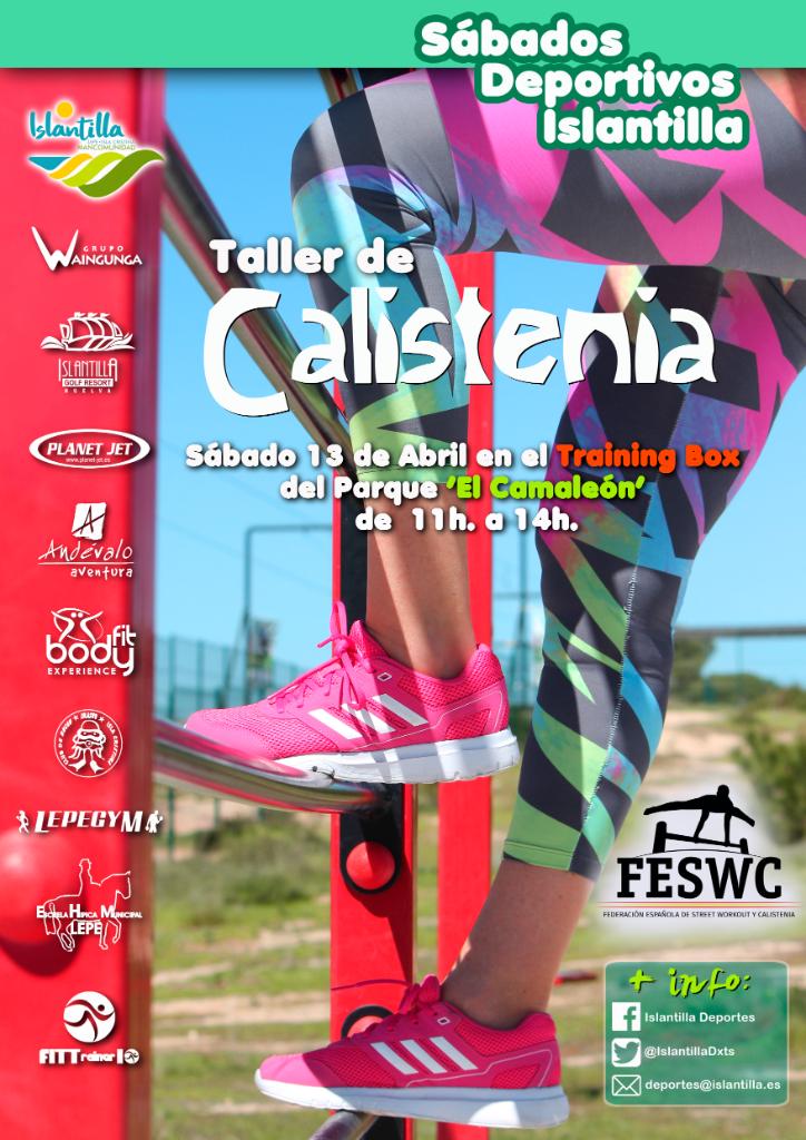 cartel del taller de calistenia 2019