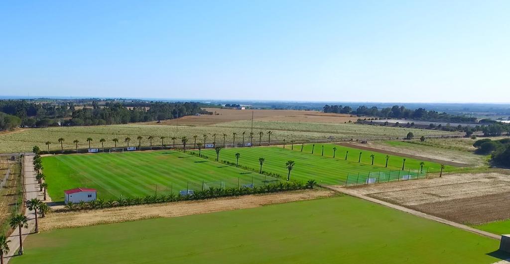 Vista aérea de un campo de fútbol con césped verde, rodeado de palmeras y áreas naturales, en un entorno abierto y despejado