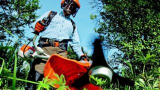 Programa de empleo y formación de Jardinería