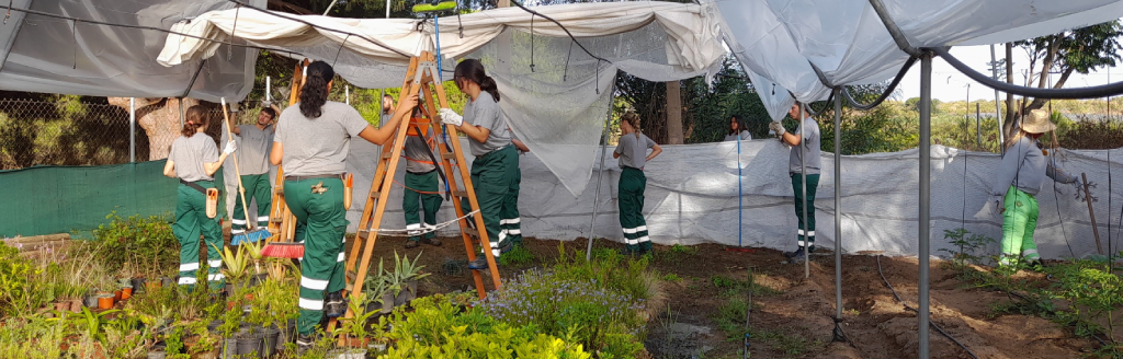 programa empleo formacion jardineria islantilla huelva