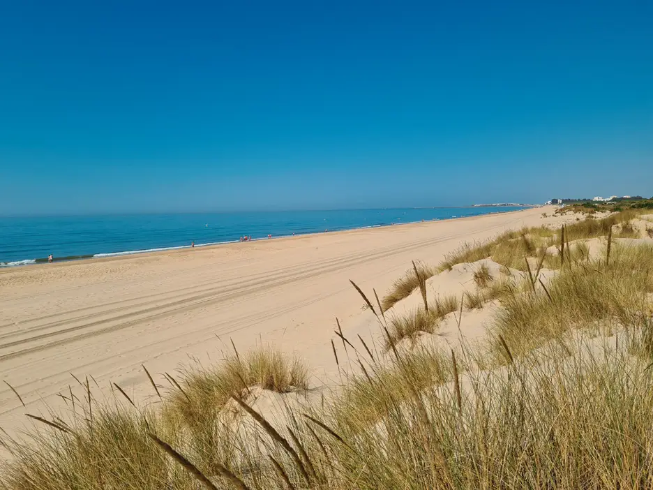 Vista panorámica de la playa de Nueva Umbría, con dunas y arena dorada junto al mar en un entorno natural y tranquilo.