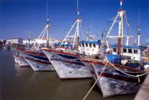 Barcos pesqueros amarrados en el puerto de Isla Cristina.