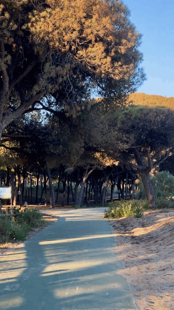 Cerca de islantilla sendero azul ruta del camaleón isla cristina