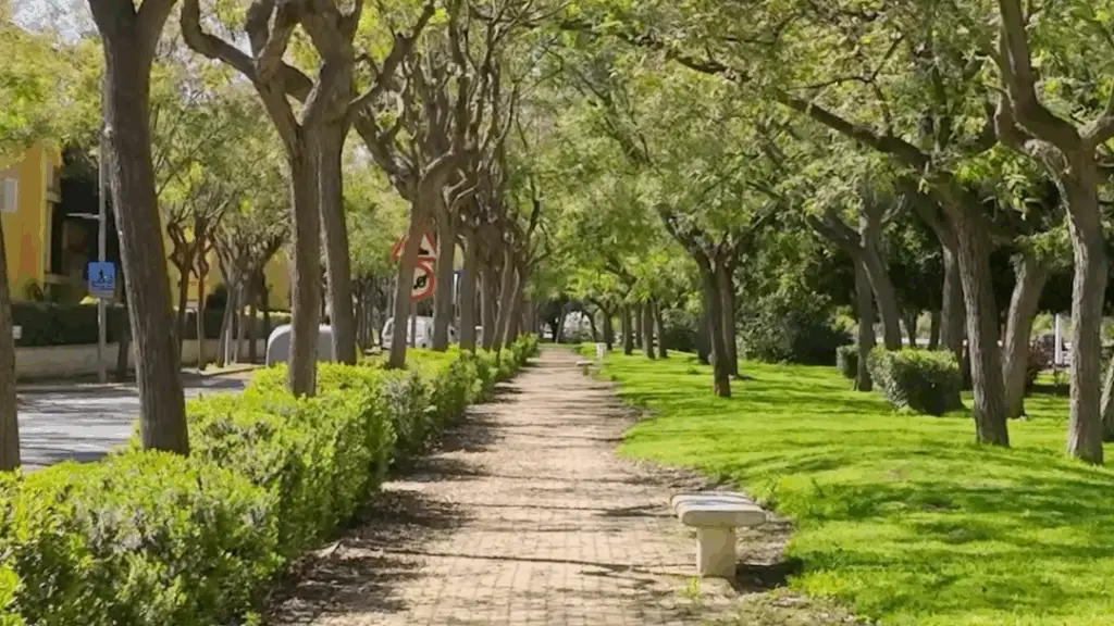 Avenida Río Frío de Islantilla con su sendero peatonal.