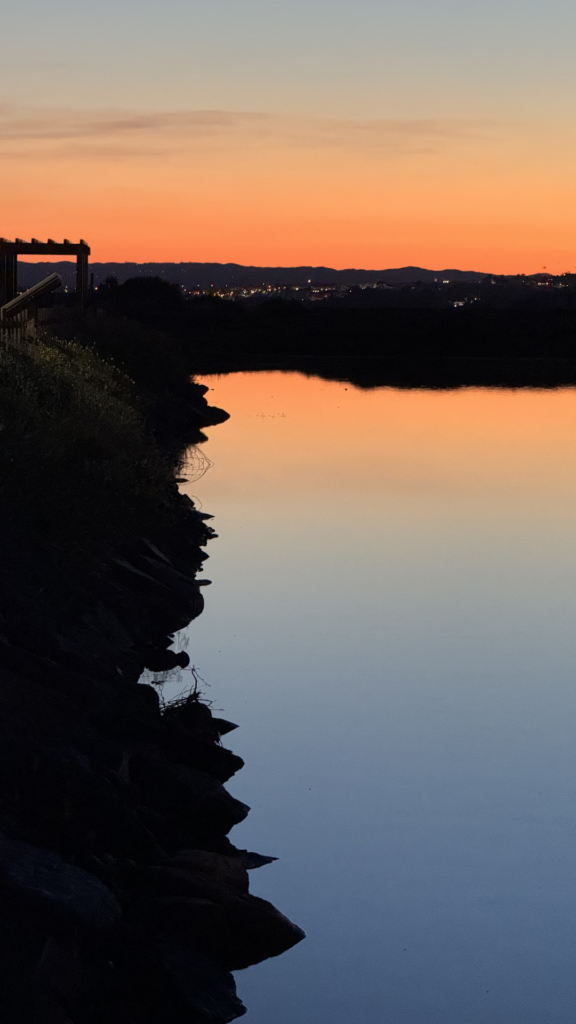 Marismas de Isla Cristina al atardecer