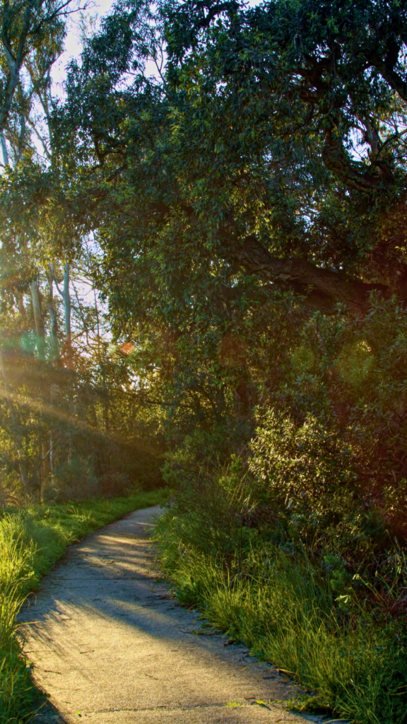 Sendero Azul del Parque de los Cabezos en Islantilla
