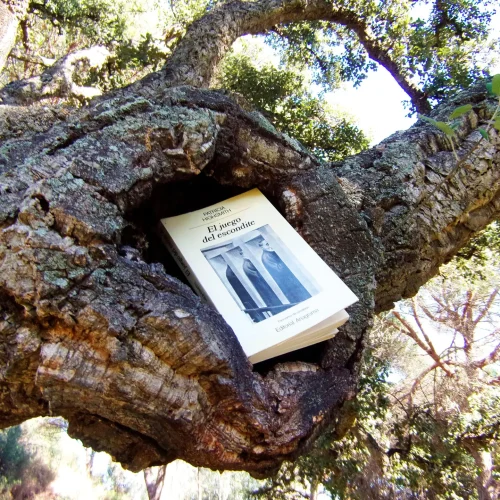 El Juego Del Escondite